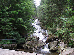 Wanderwege im Bayer. Wald